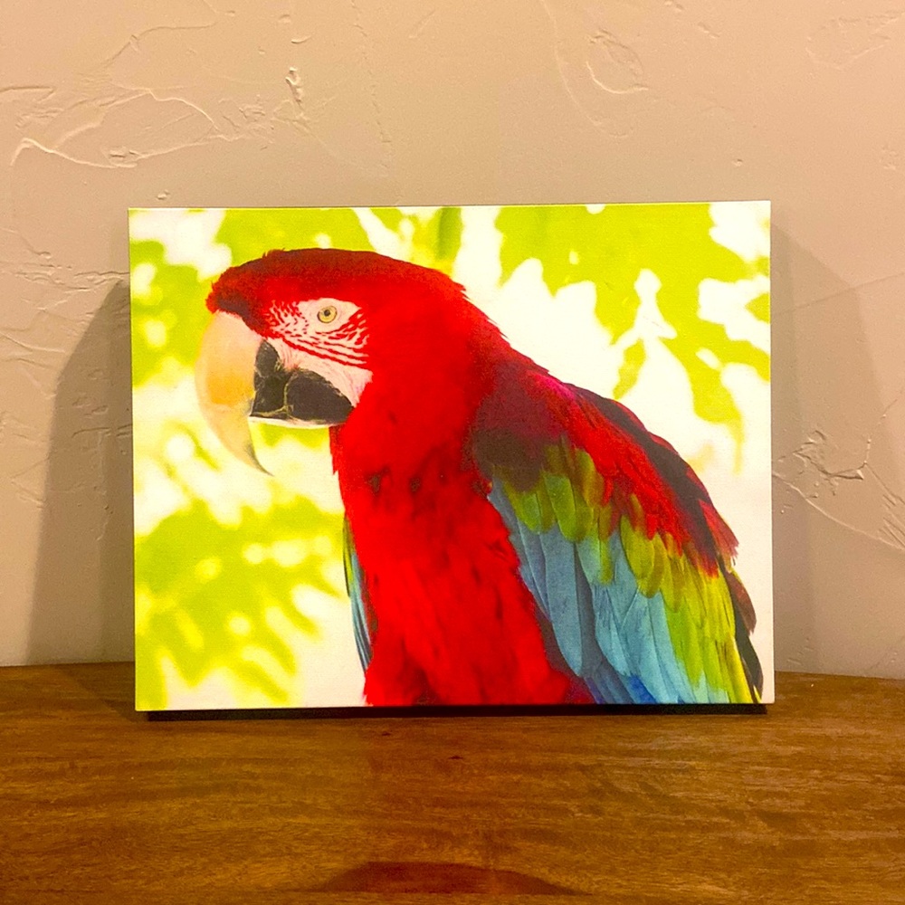Canvas artwork